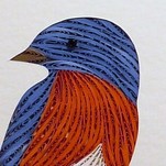 Quilled Bluebird