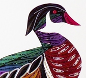 Quilled Wood Duck Standing